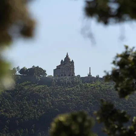 Cantinho Dos Avos * Viana do Castelo