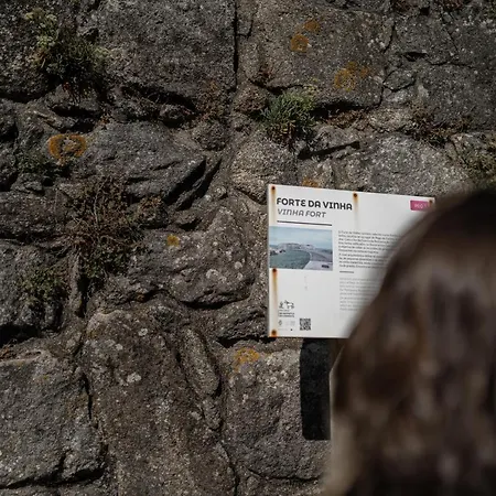 Cantinho Dos Avos Viana do Castelo