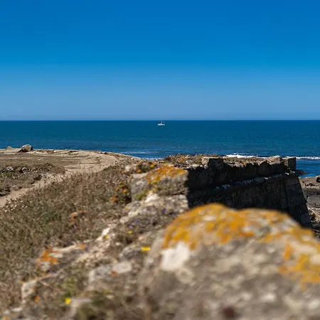 Cantinho Dos Avos Holiday home Viana do Castelo