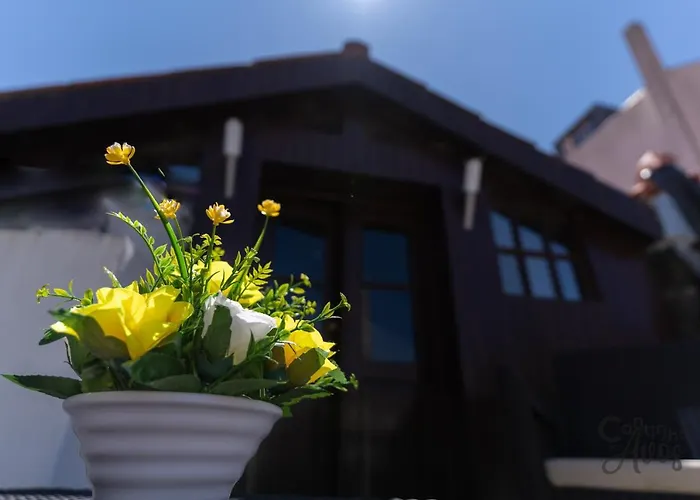 Semesterbostad Cantinho Dos Avos *